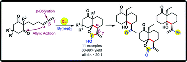 Graphical abstract: Efficient access to cis-decalinol frameworks: copper(i)-catalyzed borylative cyclization of allene cyclohexanediones