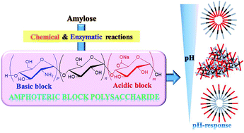 Graphical abstract: Chemoenzymatic synthesis and pH-responsive properties of amphoteric block polysaccharides