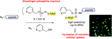 Graphical abstract: Bis(arylmethyl)-substituted unsymmetrical phosphites for the synthesis of lipidated peptides via Staudinger-phosphite reactions
