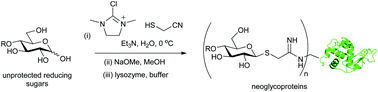 Graphical abstract: Direct aqueous synthesis of cyanomethyl thioglycosides from reducing sugars; ready access to reagents for protein glycosylation