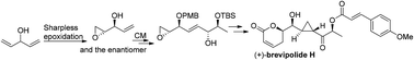 Graphical abstract: Enantioselective synthesis of (+)-brevipolide H