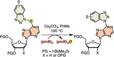 Graphical abstract: A novel bis(pinacolato)diboron-mediated N–O bond deoxygenative route to C6 benzotriazolyl purine nucleoside derivatives