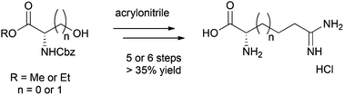 Graphical abstract: Synthesis of l-indospicine, [5,5,6-2H3]-l-indospicine and l-norindospicine