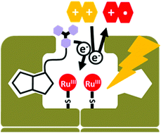 Graphical abstract: Light-driven electron injection from a biotinylated triarylamine donor to [Ru(diimine)3]2+-labeled streptavidin