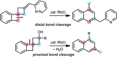 Graphical abstract: Rhodium(i)-catalysed skeletal reorganisation of benzofused spiro[3.3]heptanes via consecutive carbon–carbon bond cleavage