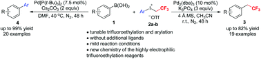 Graphical abstract: Pd-catalyzed divergent trifluoroethylation and arylation of arylboronic acids by aryl(2,2,2-trifluoroethyl)iodonium triflates