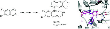 Graphical abstract: Elaboration of tetra-orthogonally-substituted aromatic scaffolds towards novel EGFR-kinase inhibitors