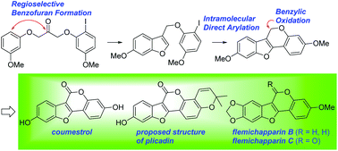 Graphical abstract: Syntheses of pterocarpenes and coumestans via regioselective cyclodehydration