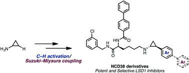 Graphical abstract: C–H activation enables a rapid structure–activity relationship study of arylcyclopropyl amines for potent and selective LSD1 inhibitors