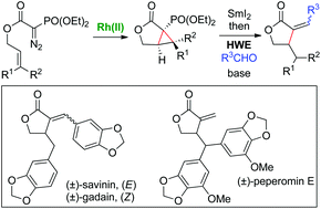 Graphical abstract: Phosphorylated cyclopropanes in the synthesis of α-alkylidene-γ-butyrolactones: total synthesis of (±)-savinin, (±)-gadain and (±)-peperomin E