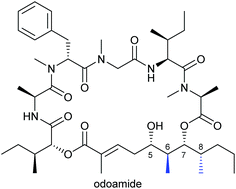 Graphical abstract: Total synthesis of odoamide, a novel cyclic depsipeptide, from an Okinawan marine cyanobacterium
