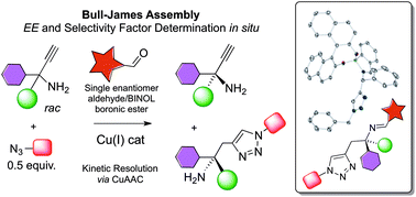 Graphical abstract: The Bull–James assembly as a chiral auxiliary and shift reagent in kinetic resolution of alkyne amines by the CuAAC reaction
