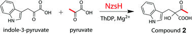 Graphical abstract: A ThDP-dependent enzymatic carboligation reaction involved in Neocarazostatin A tricyclic carbazole formation