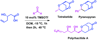 Graphical abstract: Substitution dependent stereoselective construction of bicyclic lactones and its application to the total synthesis of pyranopyran, tetraketide and polyrhacitide A