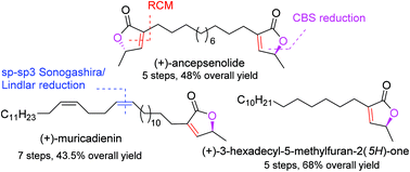 Graphical abstract: De novo protecting-group-free total synthesis of (+)-muricadienin, (+)-ancepsenolide and (+)-3-hexadecyl-5-methylfuran-2(5H)-one