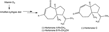 Graphical abstract: A protecting group-free synthesis of (−)-hortonones A–C from the Inhoffen–Lythgoe diol