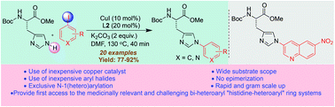 Graphical abstract: Regioselective copper-catalyzed N(1)-(hetero)arylation of protected histidine
