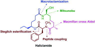 Graphical abstract: Total synthesis of haliclamide
