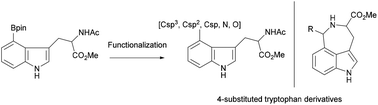 Graphical abstract: A simple, modular synthesis of C4-substituted tryptophan derivatives