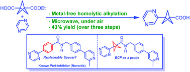 Graphical abstract: A practical metal-free homolytic aromatic alkylation protocol for the synthesis of 3-(pyrazin-2-yl)bicyclo[1.1.1]pentane-1-carboxylic acid