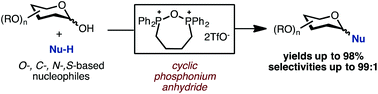 Graphical abstract: Dehydrative glycosylation with cyclic phosphonium anhydrides