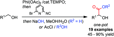 Graphical abstract: Metal-free one-pot α-carboxylation of primary alcohols