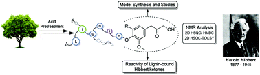 Graphical abstract: The synthesis and analysis of lignin-bound Hibbert ketone structures in technical lignins