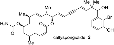 Graphical abstract: Enantioselective total synthesis and structural assignment of callyspongiolide