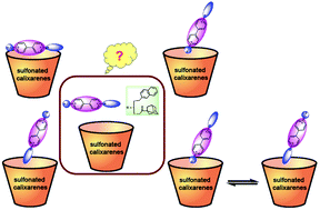 Graphical abstract: Molecular binding behavior of water-soluble calix[4]arenes with asymmetric 4,4′-bipyridinium guests in aqueous solution: regioselective recognition or not?