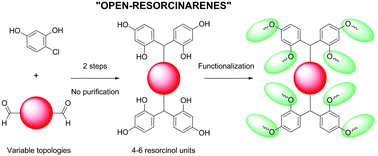 Graphical abstract: Open-resorcinarenes, a new family of multivalent scaffolds