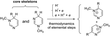 Graphical abstract: Elemental steps of the thermodynamics of dihydropyrimidine: a new class of organic hydride donors