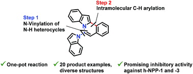 Graphical abstract: New one-pot synthesis of N-fused isoquinoline derivatives by palladium-catalyzed C–H arylation: potent inhibitors of nucleotide pyrophosphatase-1 and -3