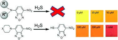 Graphical abstract: Investigation of thiolysis of NBD amines for the development of H2S probes and evaluating the stability of NBD dyes