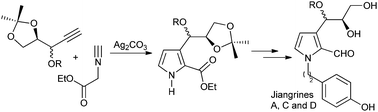 Graphical abstract: Total synthesis and confirmation of the revised structures of jiangrines A, C and D