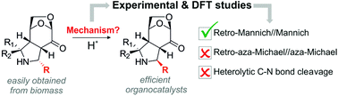 Graphical abstract: Mechanistic insight into the acid-catalyzed isomerization of biomass-derived polysubstituted pyrrolidines: an experimental and DFT study