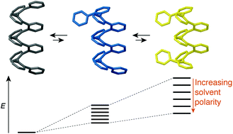 Graphical abstract: Solvent effects on the folding of o-phenylene oligomers