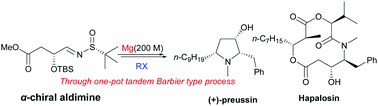 Graphical abstract: An efficient approach to trans-4-hydroxy-5-substituted 2-pyrrolidinones through a stereoselective tandem Barbier process: divergent syntheses of (3R,4S)-statines, (+)-preussin and (−)-hapalosin