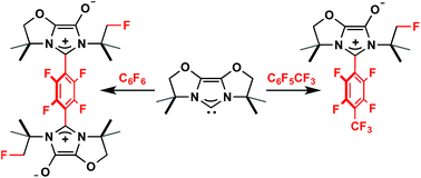 Graphical abstract: C–F bond activation of perfluorinated arenes by a bioxazoline-derived N-heterocyclic carbene