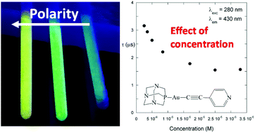 Graphical abstract: Effect of solvent polarity on the spectroscopic properties of an alkynyl gold(i) gelator. The particular case of water
