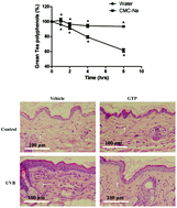 Graphical abstract: Topical treatment of green tea polyphenols emulsified in carboxymethyl cellulose protects against acute ultraviolet light B-induced photodamage in hairless mice