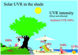 Graphical abstract: UVR: sun, lamps, pigmentation and vitamin D