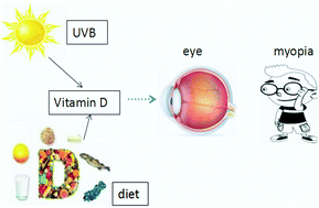 Graphical abstract: Time outdoors, blood vitamin D status and myopia: a review