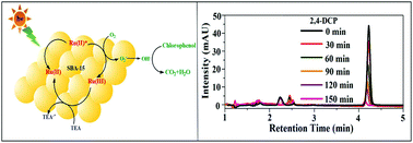 Graphical abstract: Ru(ii)-Metal complex immobilized mesoporous SBA-15 hybrid for visible light induced photooxidation of chlorophenolic compounds in aqueous medium