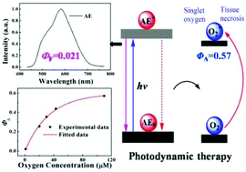 Graphical abstract: Photophysical properties, singlet oxygen generation efficiency and cytotoxic effects of aloe emodin as a blue light photosensitizer for photodynamic therapy in dermatological treatment