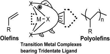 Graphical abstract: Transition metal complexes bearing tridentate ligands for precise olefin polymerization
