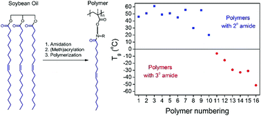 Graphical abstract: Amidation of triglycerides by amino alcohols and their impact on plant oil-derived polymers