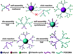 Graphical abstract: Janus long-chain hyperbranched copolymers of PSt and POEGMA from a self-assembly mediated click reaction