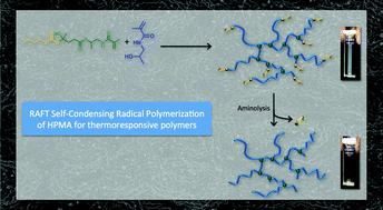 Graphical abstract: Hyperbranched poly(N-(2-hydroxypropyl) methacrylamide) via RAFT self-condensing vinyl polymerization