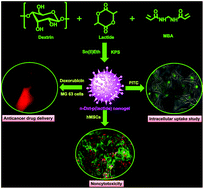 Graphical abstract: Dextrin and poly(lactide)-based biocompatible and biodegradable nanogel for cancer targeted delivery of doxorubicin hydrochloride