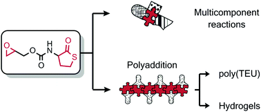 An epoxy thiolactone on stage: four component reactions, synthesis of poly(thioether urethane)s and the respective hydrogels